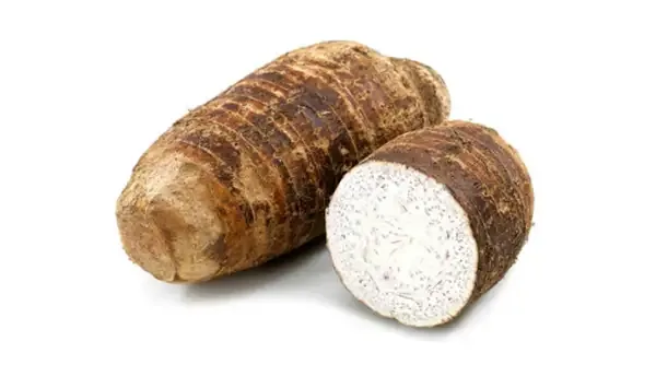 Malanga (lb)