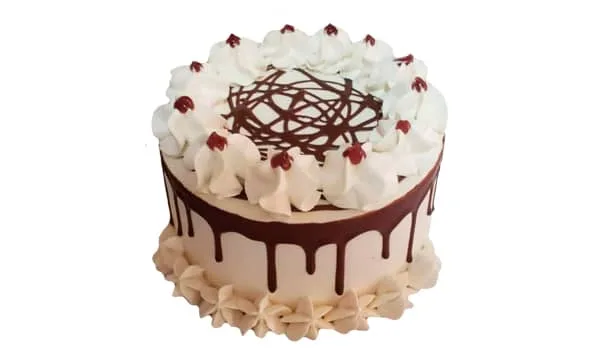 Cake de merengue de vainilla, relleno con crema de chocolate