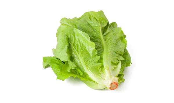 Lechuga (mazo)